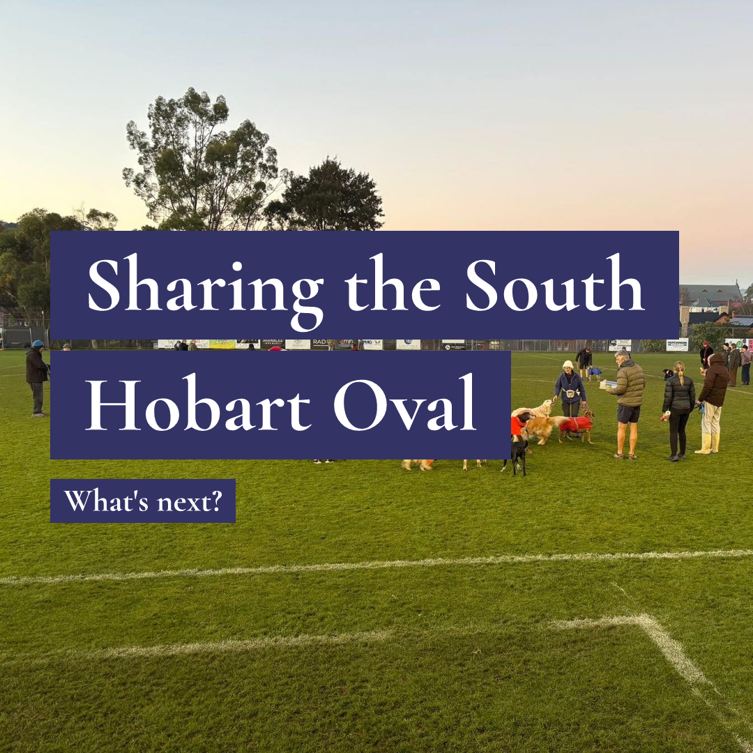 People and dogs gather for Dark Bark with text overlays: Sharing the South Hobart Oval and What's next?